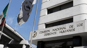 La selección de los integrantes de la CNDH está apegada a derecho: Comité técnico