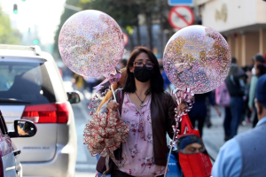 La aportación de hogares mexicanos al PIB bajaron al 2.3% durante el año