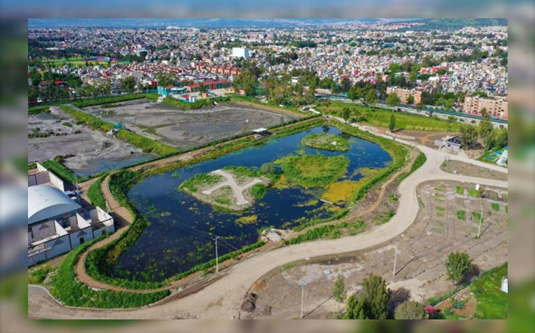 Sedema construye 26 hectáreas de humedales en la CDMX