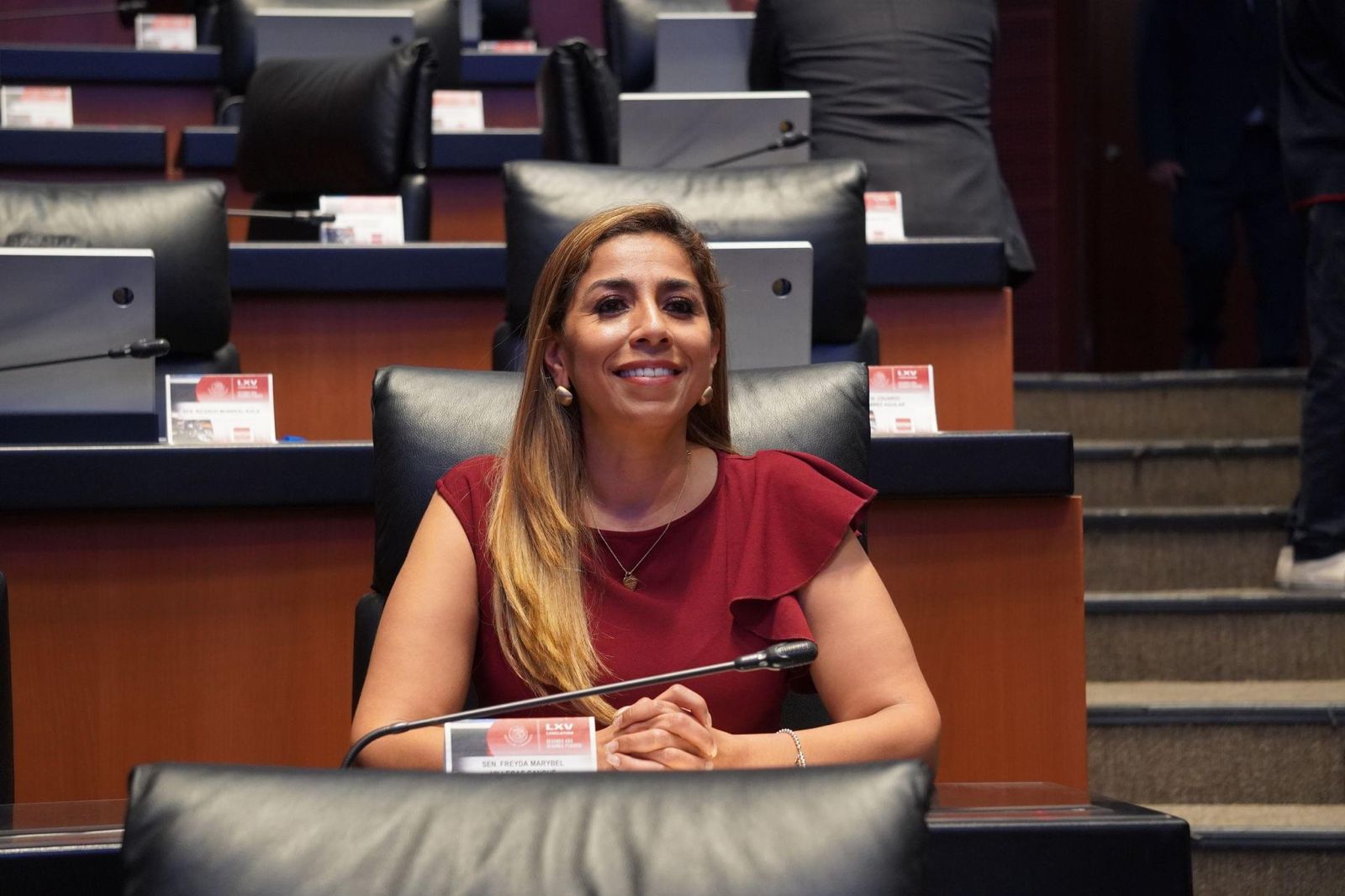 No más feminicidios e impunidad, exige desde el SENADO Marybel Villegas
