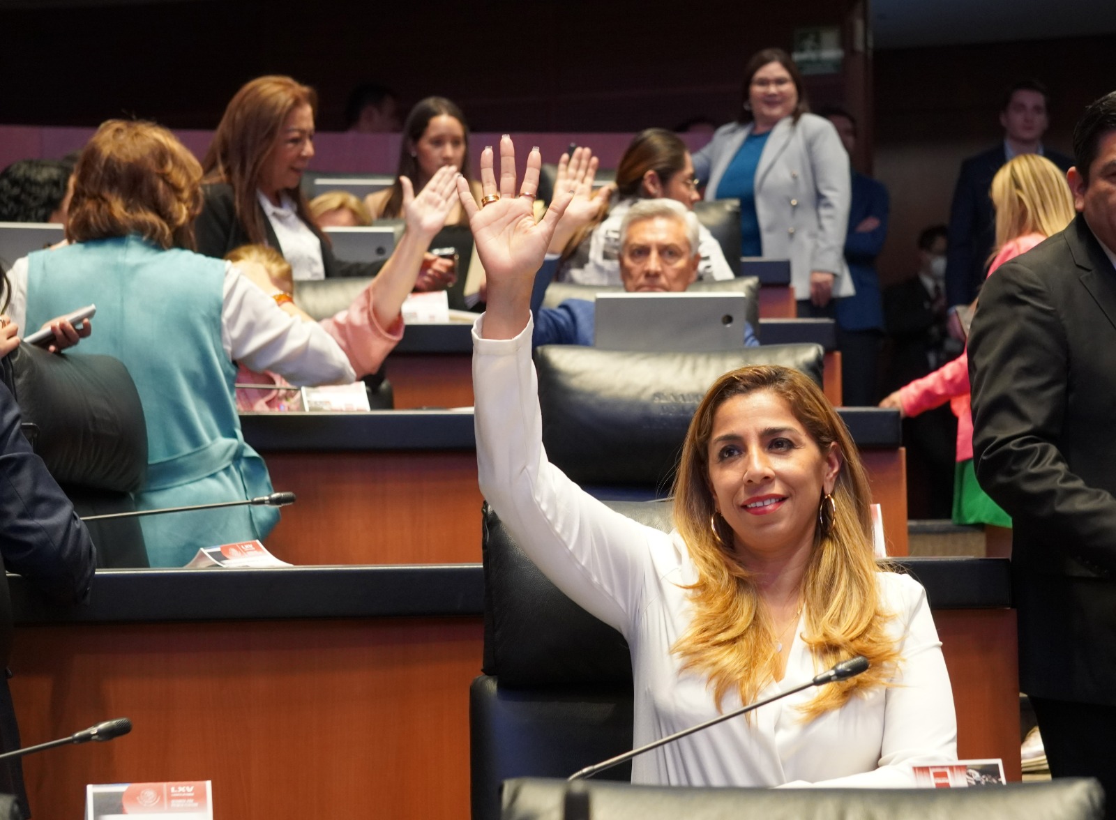 Marybel Villegas legisla a favor de Infantes y Adolescentes