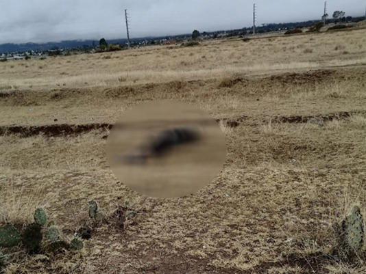 Ejecutan a El Chota, exlíder zeta que acababa de salir del reclusorio