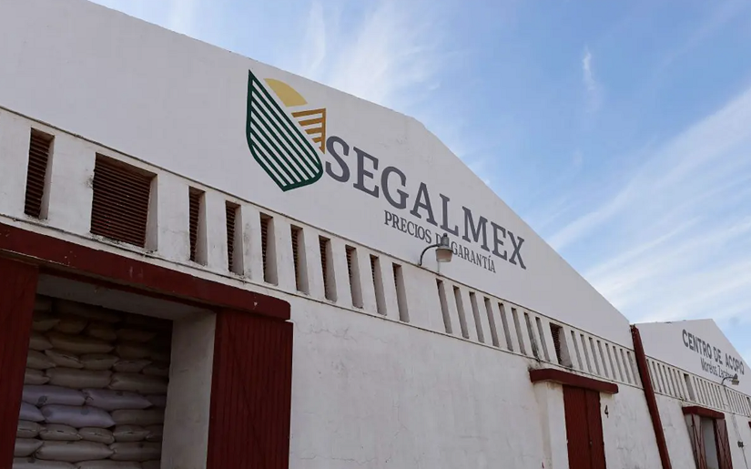 FGR consigue 22 órdenes de aprehensión contra funcionarios por desvíos de recursos en Segalmex