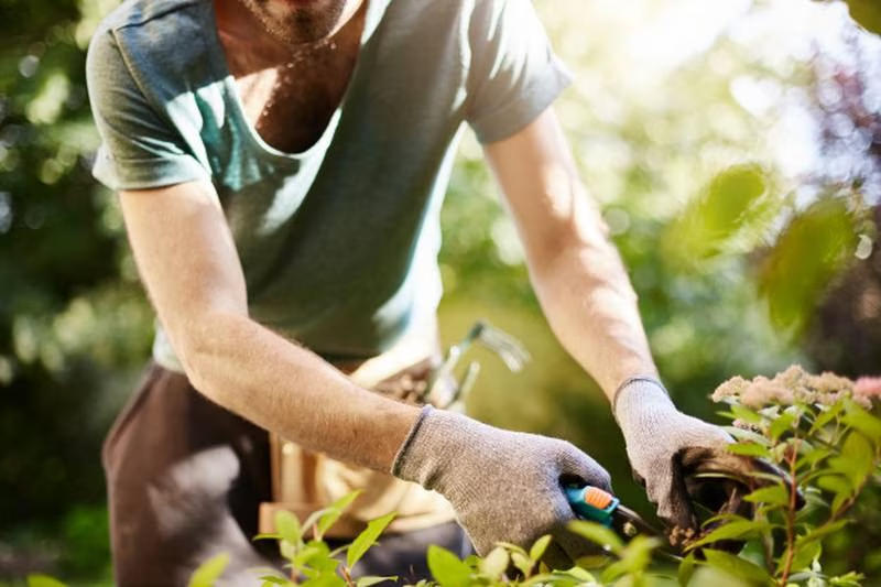 Los hombres ganan más que las mujeres en trabajos domésticos