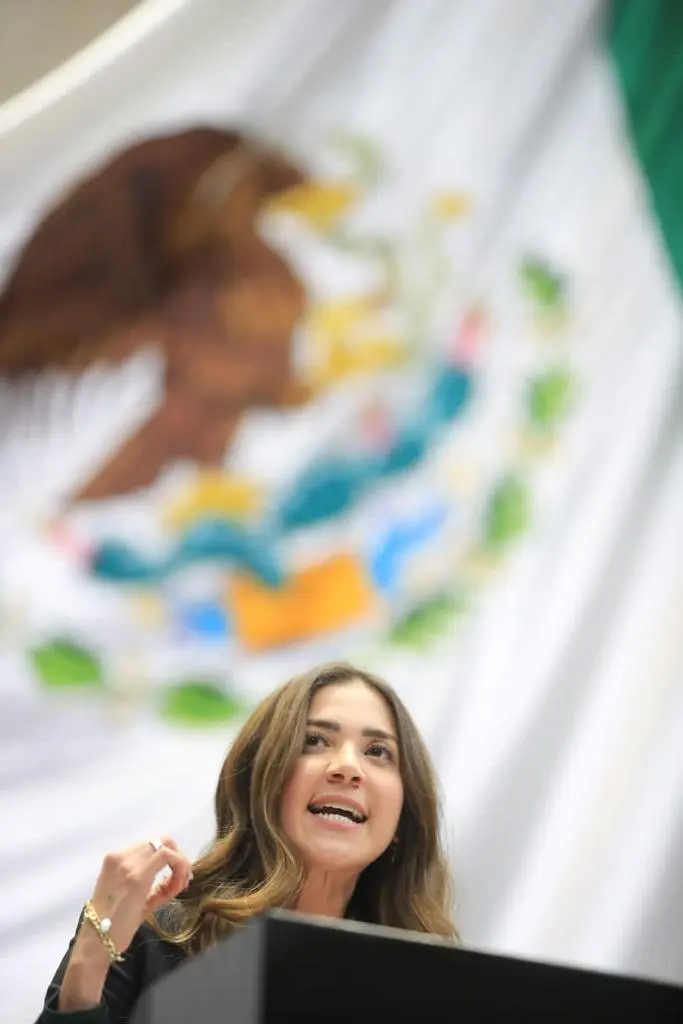 Una Agresora nunca más o Agresor en el Poder; Diputada Paloma Sánchez Ramos