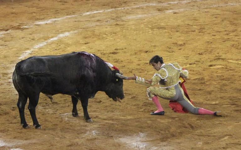“No a las corridas de toros” desata polémica entre la ciudadanía