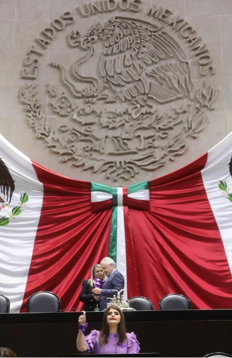 Cuquis Camarena Diputada Federal pide al Gobierno de México atender las demandas del Sector Porcícola
