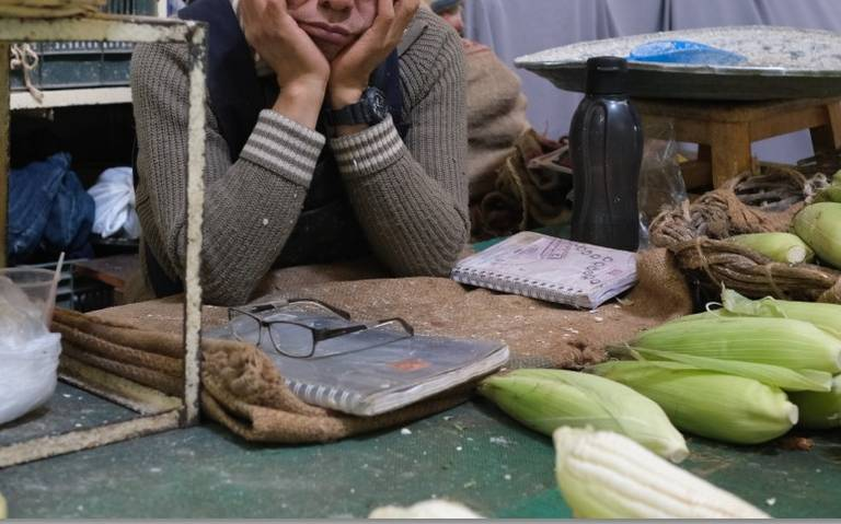 Avicultores exigen que las demandas de maíz deben de solucionar controversia