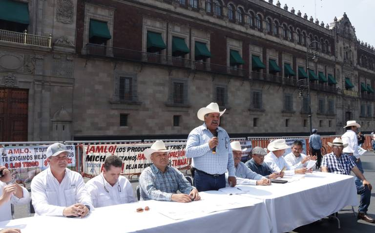 Productores de maíz, sorgo y trigo exigen que el gobierno les garantice un mejor costo