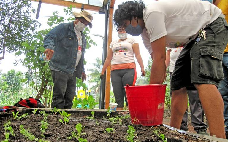 Los huertos urbanos son benéficos para construir una comunidad y reconectarse con la naturaleza durante la  Cumbre Mundial