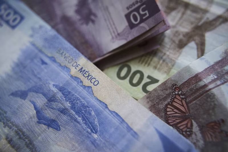 La recaudación fiscal bajo en los primeros cinco meses del año: Hacienda