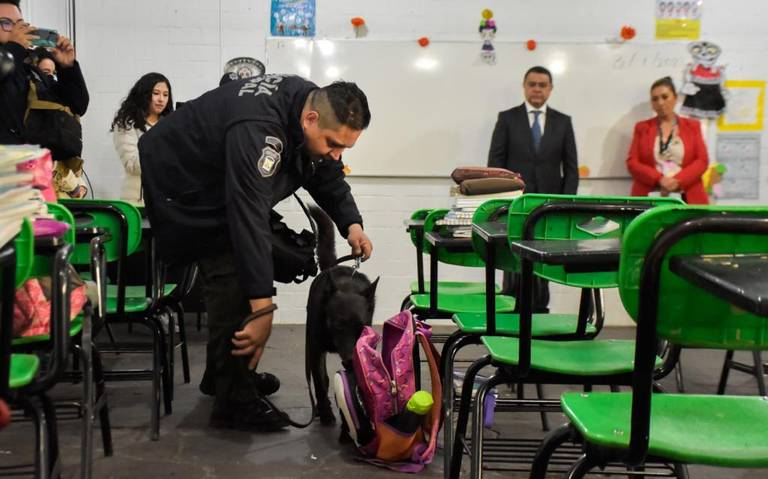 Diputados del Edomex elevarán la “Ley Mochila” a rango constitucional