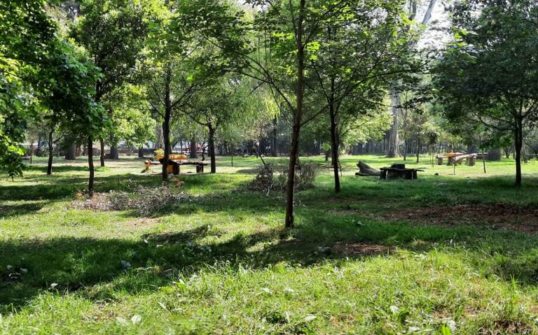 Reforesta Xochimilco el Bosque de Nativitas: Acosta Ruiz