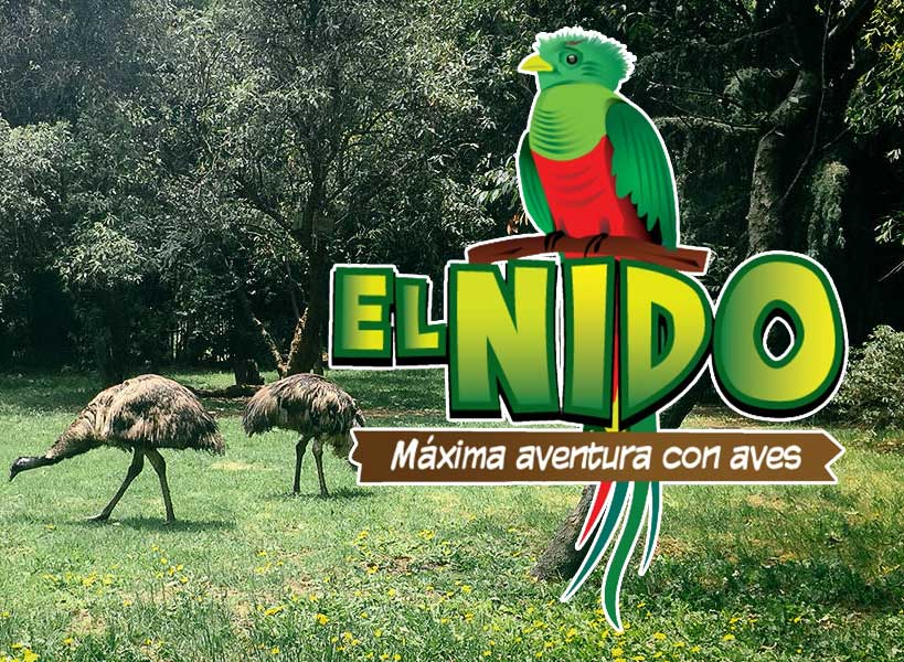 Congreso de la CDMX demanda a la Profepa a que informe sobre la clausura del santuario “El Nido”