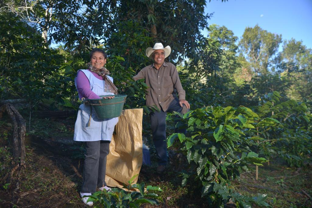 Heifer International y EthicHub invierten $420,000 USD para mejorar el acceso financiero de familias mexicanas p roductoras de café