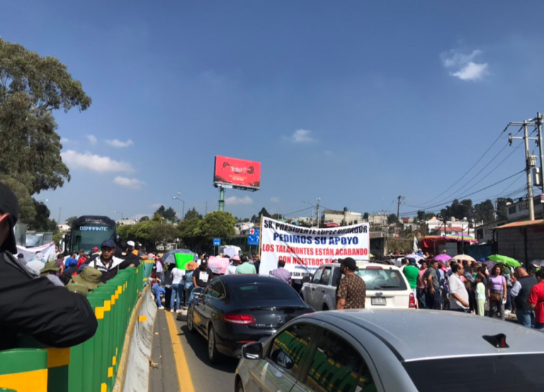 Exigen alto Vecinos de Topilejo a Talamontes que están Acabando con sus Bosques en CDMX