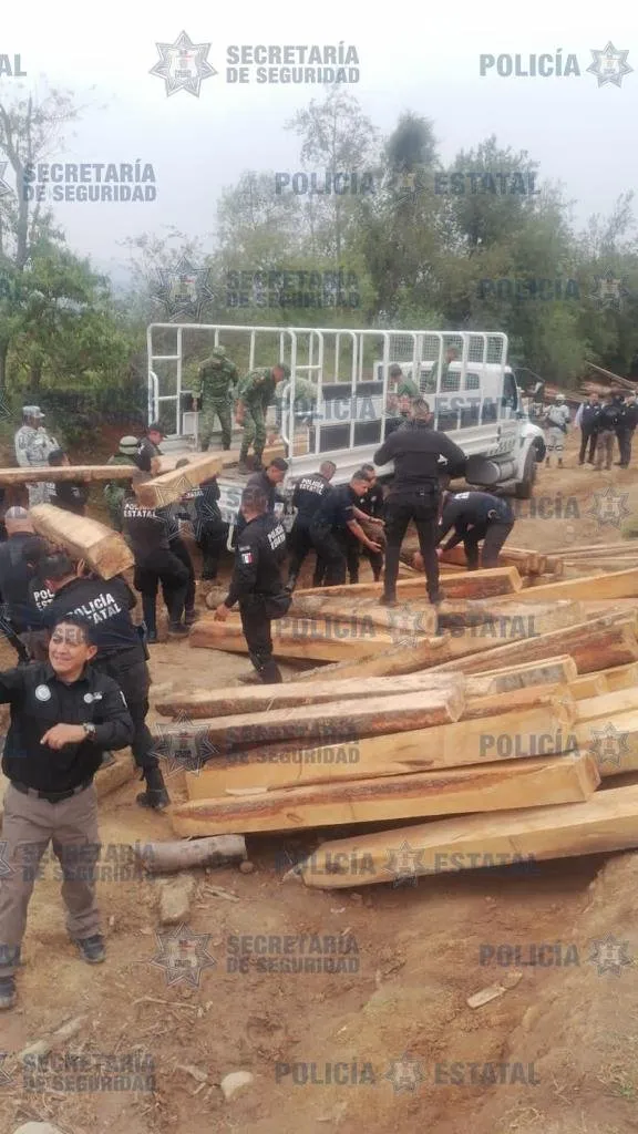 Más de46 mil metros Cúbicos de Madera Aserrada, Confisca Edoméx