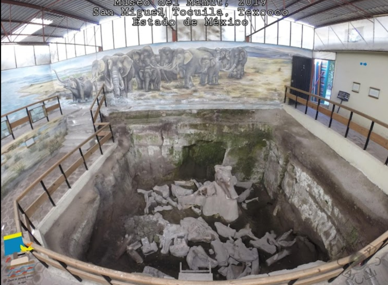 Hay más Restos de Mamuts en Tocuila Texcoco Edoméx, por el momento sólo existe un Museo