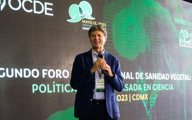 No me bajo de la contienda por la candidatura y seguiré hasta el final: De la Madrid