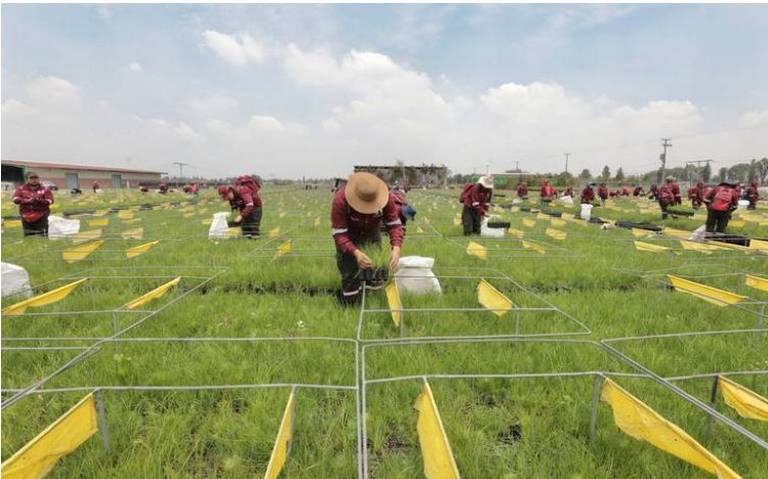 Aprueban dictamen a favor del suelo de conservación en la CDMX