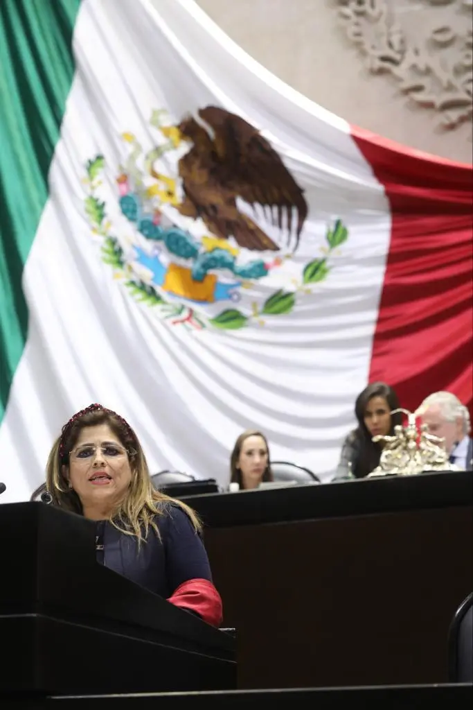 Ivonne DíazDiputada Piísta Pide Regularizar Paso Ferroviarios en las Zonas Metropolitana,para Garantizar la Se guridad
