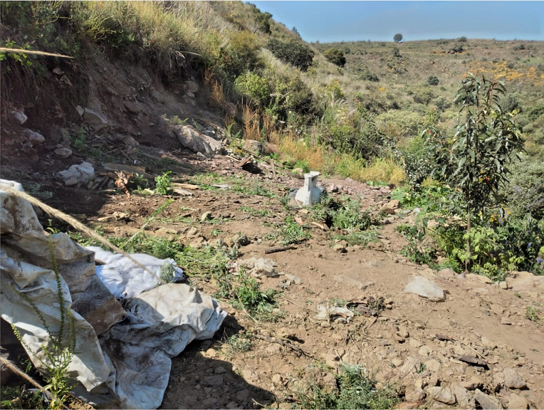 Congreso de la CDMX aprueba la Reforma Constitucional para proteger el suelo de conservación