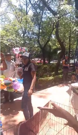 Parque México será liberado de grupos exhiben animales de compañía violentando la normatividad