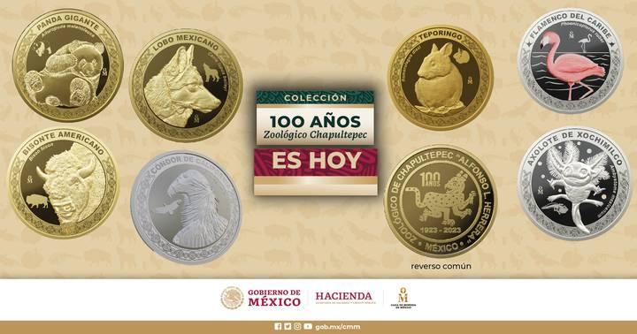 Hay euforia entre la gente por comprar las monedas de los 100 años del Zoológico de Chapultepec por ser especi ales