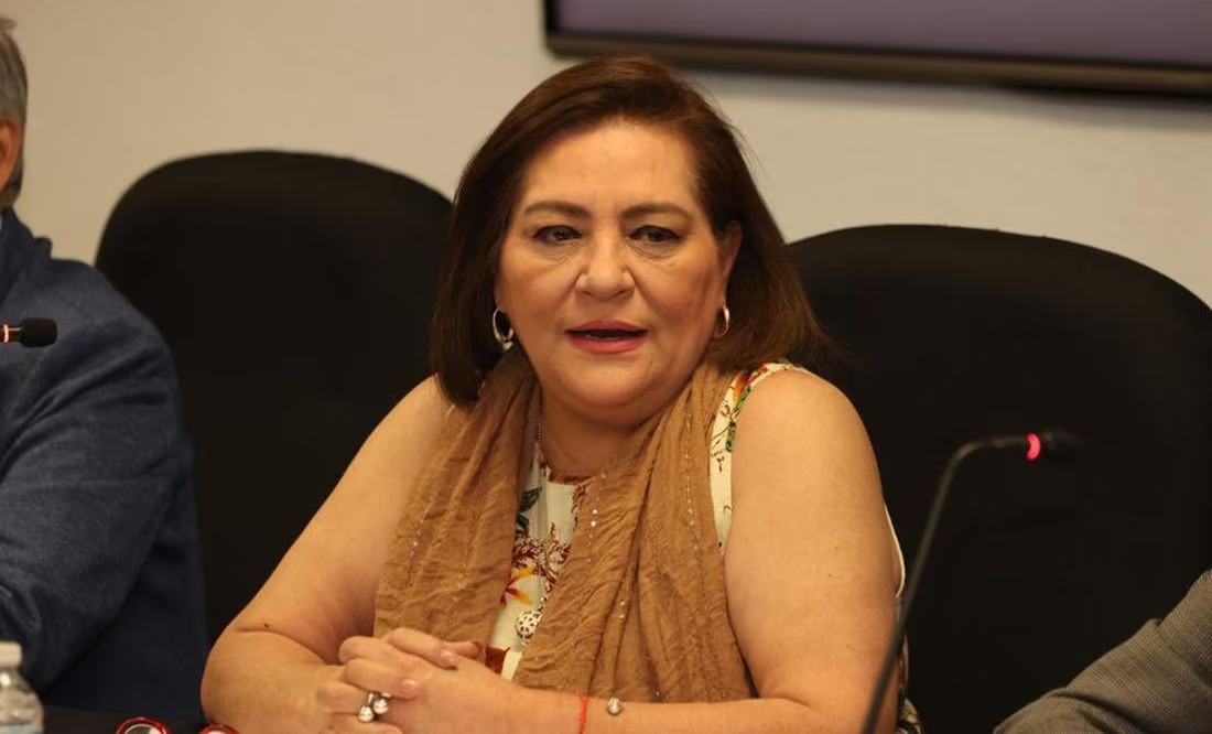 El presupuesto del INE está justificado debidamente: Taddei