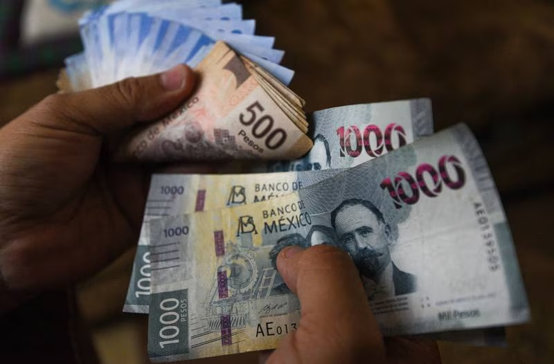 La aportación del gobierno del PIB de México bajo este año