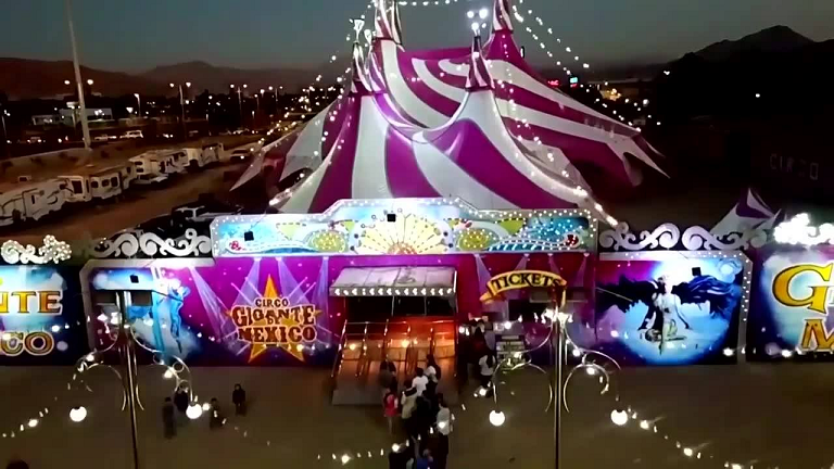 Congreso de la CDMX propone declarar el 2 de septiembre como el Día Nacional del Circo Tradicional Mexicano