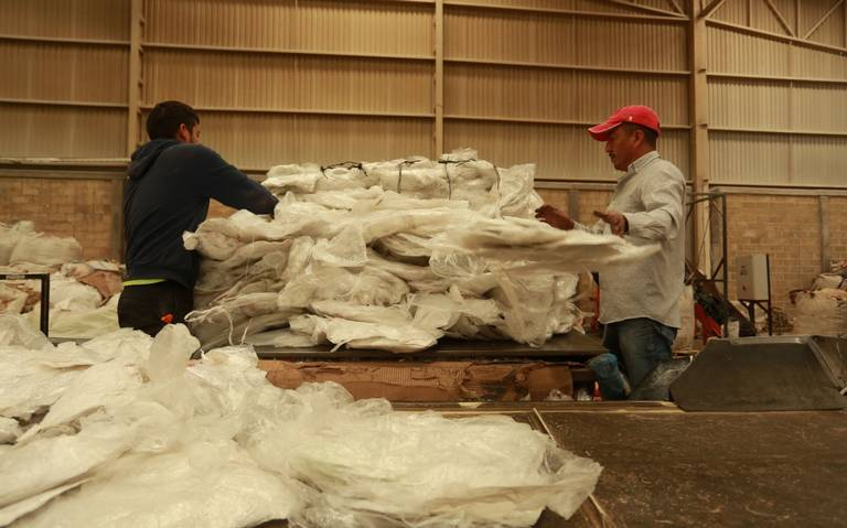 La producción de resina es de seis millones 378 mil toneladas: ANIPAC