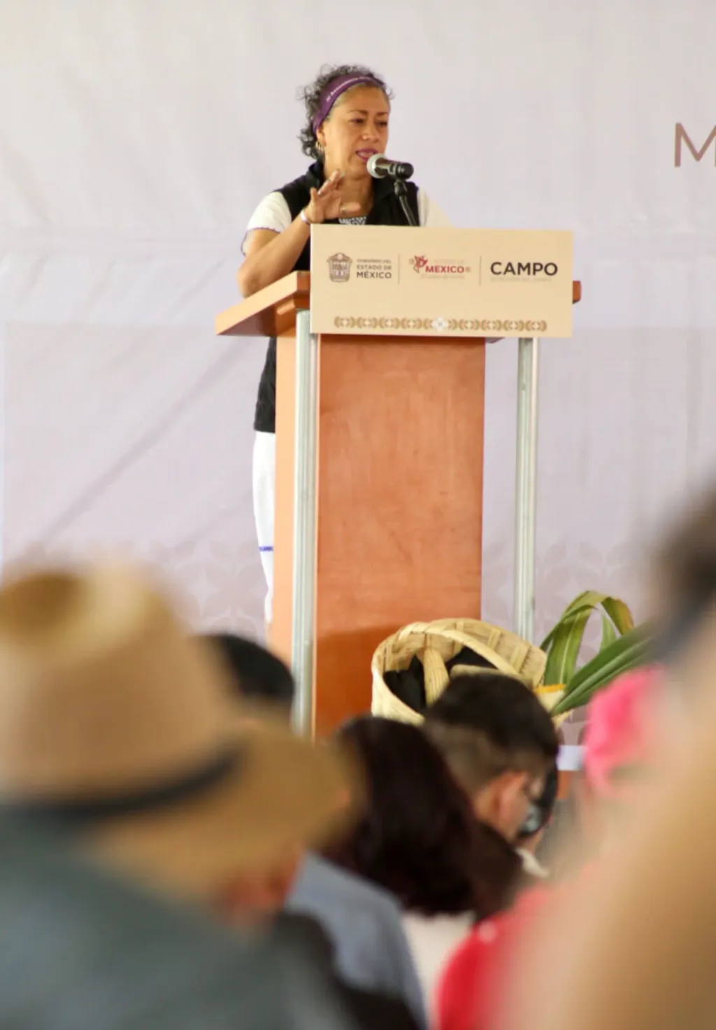 El Maíz Nativo Mexiquense Volverá a Hacer Sustento