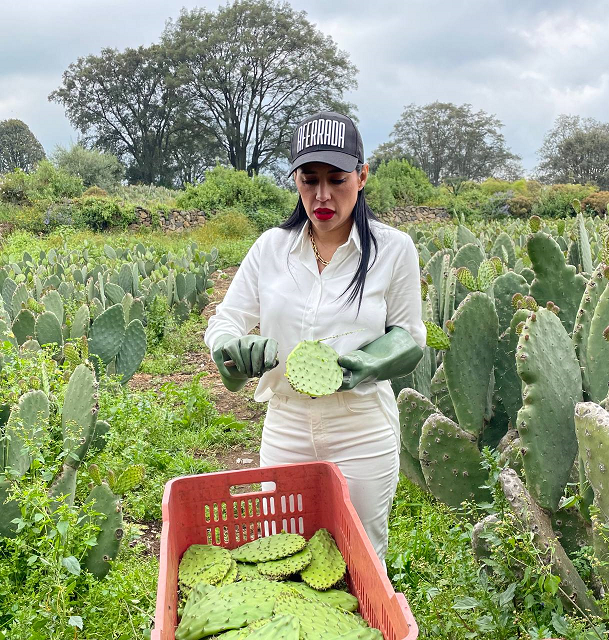 La producción alimentaria y el turismo local en las alcaldías debe de ser política pública obligada: Sandra  Cuevas