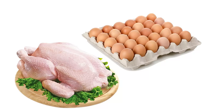 Pronostican que la producción del huevo y carne avícola aumente