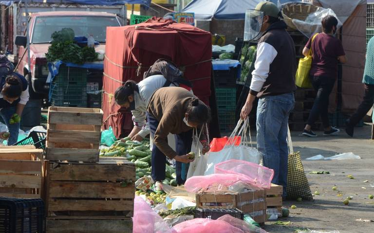 En México se tira el 37% de los alimentos que se producen: Red BAMX