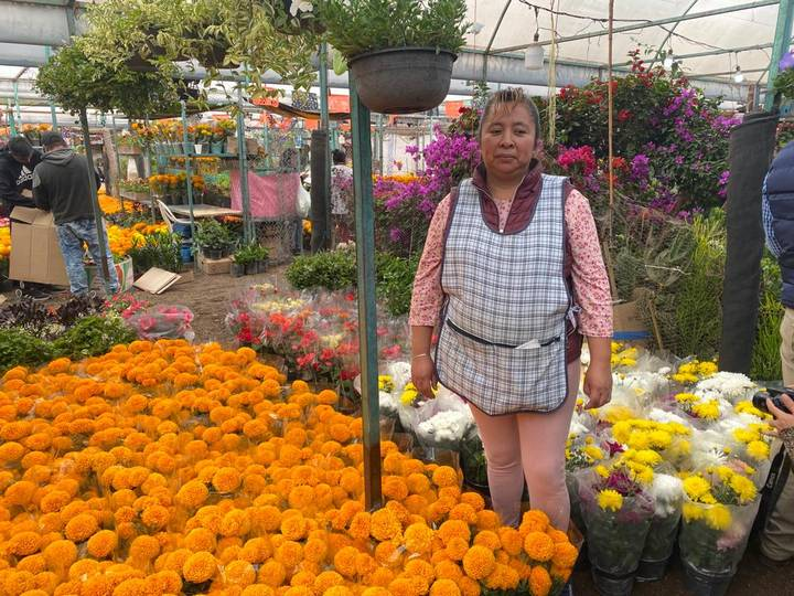 Se sembrarán más de 2 mil 448 hectáreas de Cempasúchil durante 20233 para su producción