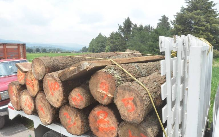 Congreso de la CDMX aprueba condena de hasta 20 años a quien tale clandestinamente