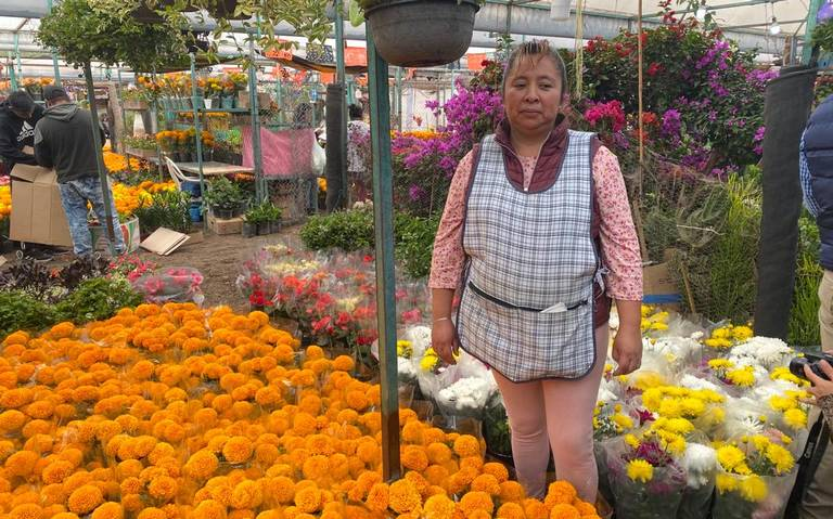 Sagarpa pronostica que la producción de Cempasúchil llegue a los 3 mdp por el Día de Muertos