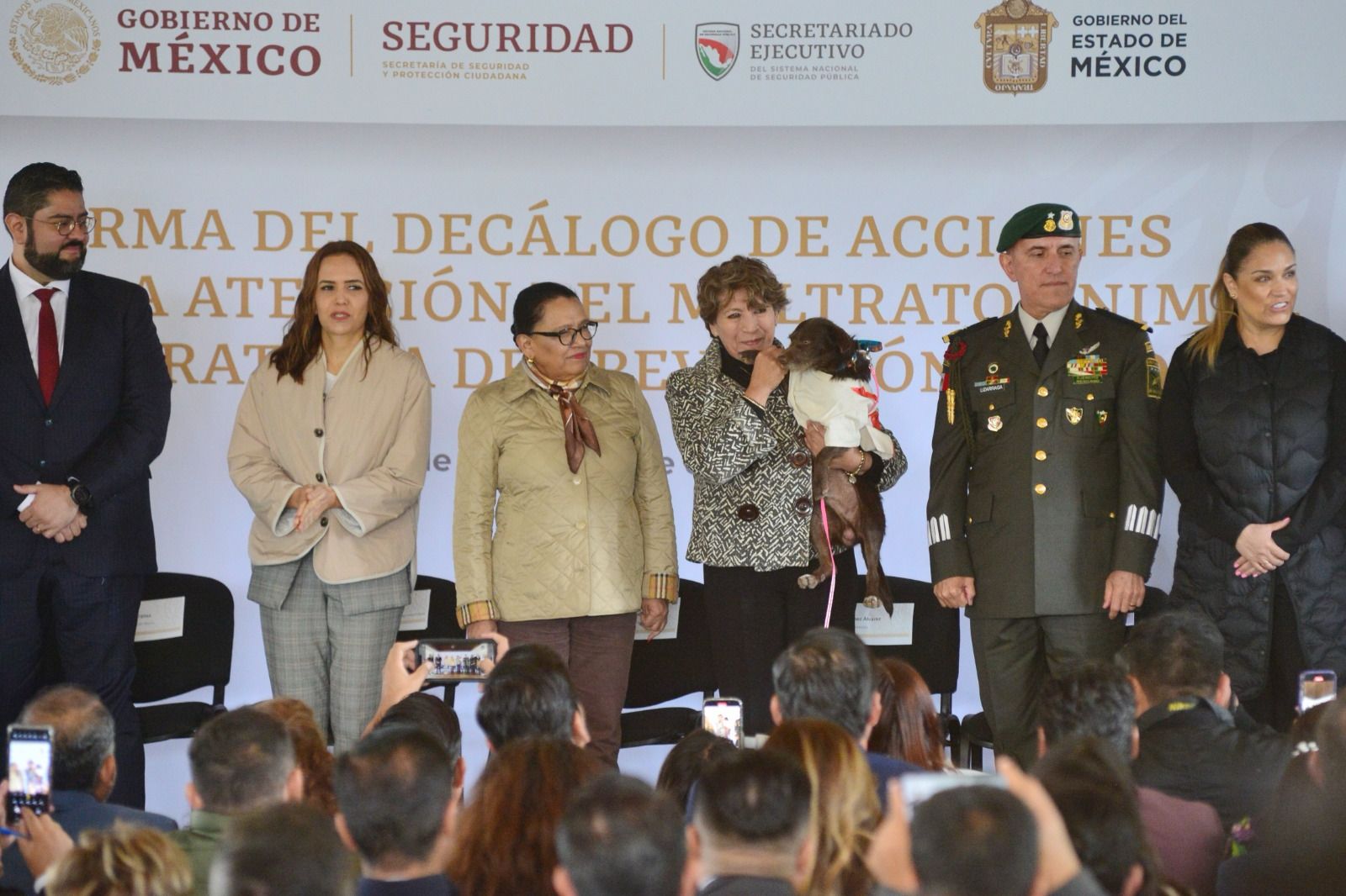 Incorpora la Gobernadora Delfina Gómez la prevención del maltrato animal a la política de seguridad estatal