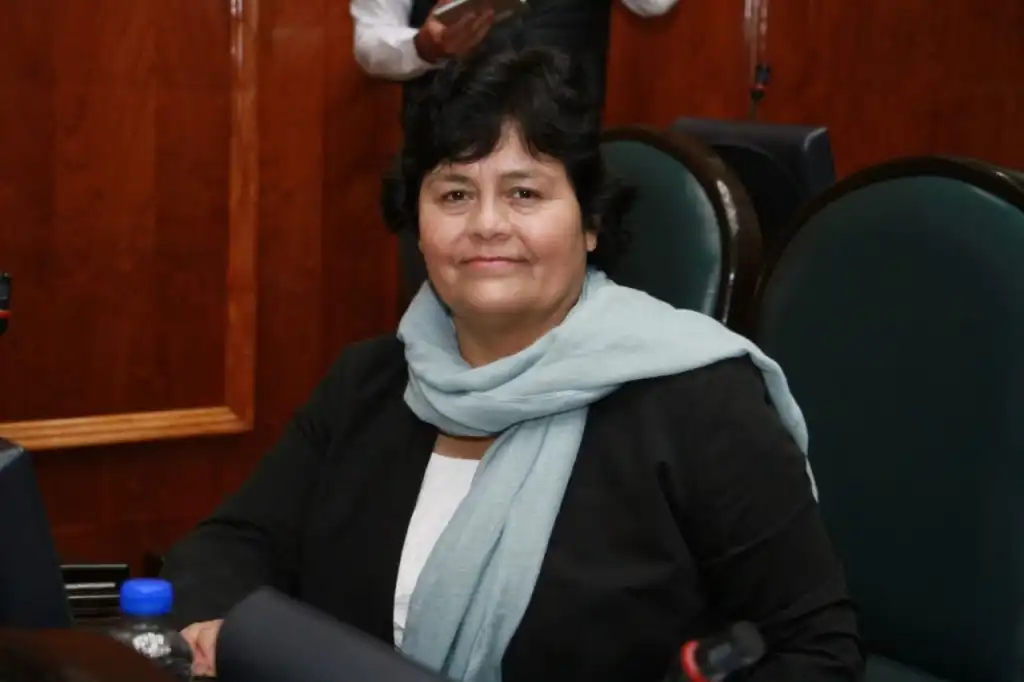 El Resultado de Consulta Ciudadana por diferendos limítrofes no es vinculante al proceso: Elba Aldana