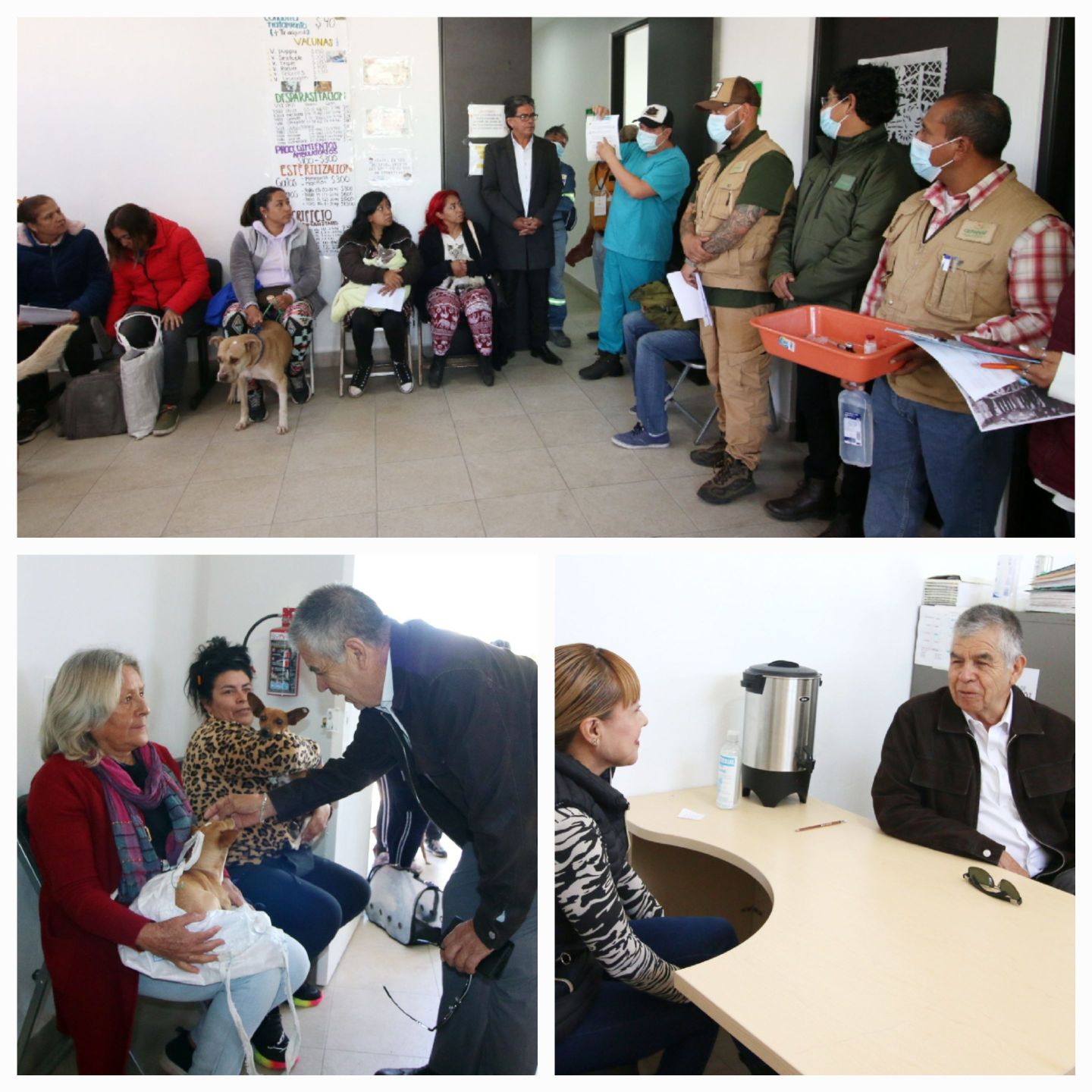 En Acolman Edoméx, Coordinación entre Gobierno Municipal y Estatal Genera Jornada de Esterilización de Perros  y Gatos