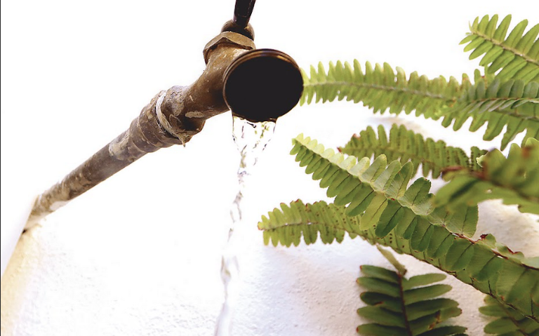 Por la crisis del Cutzamala, le exigen a Sacmex conocer las condiciones actuales con el abastecimiento de agua en la CDMX