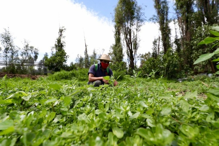 Diputados locales exigen a la Came que productores agropecuarios estén exentos del programa Hoy o Circula