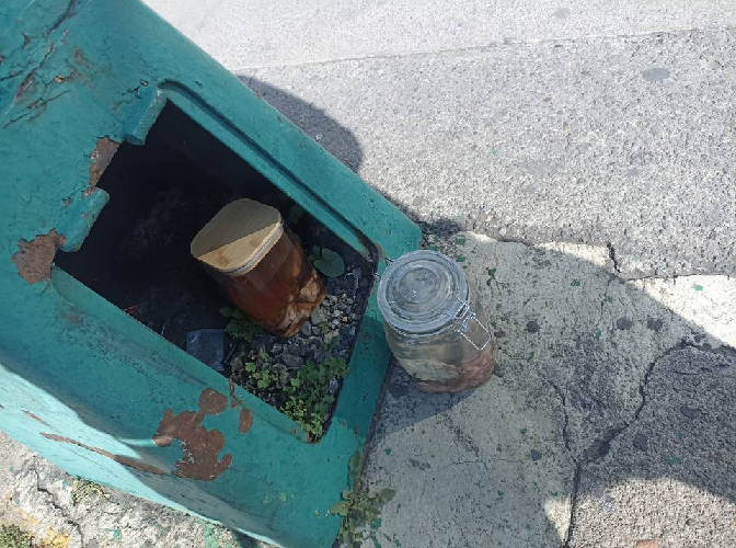Dejan dos cerebros humanos dentro de unos frascos en calles de Toluca