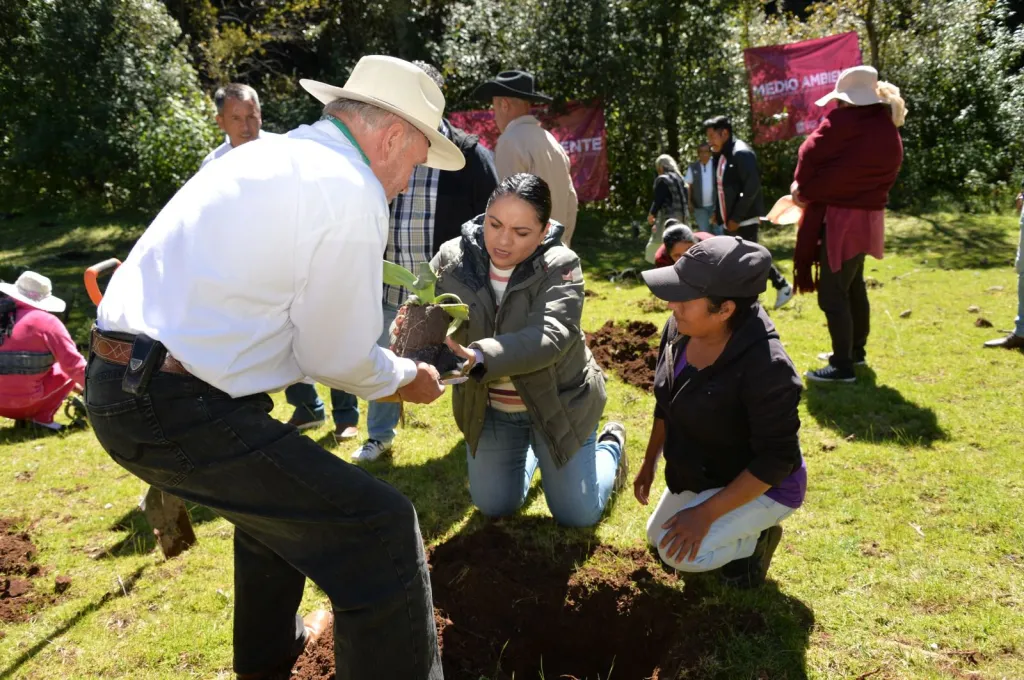 Maguey agavero, excelente opción para forestar; plantan 500 ejemplares en Palos Amarillos, Almoloya de Juárez