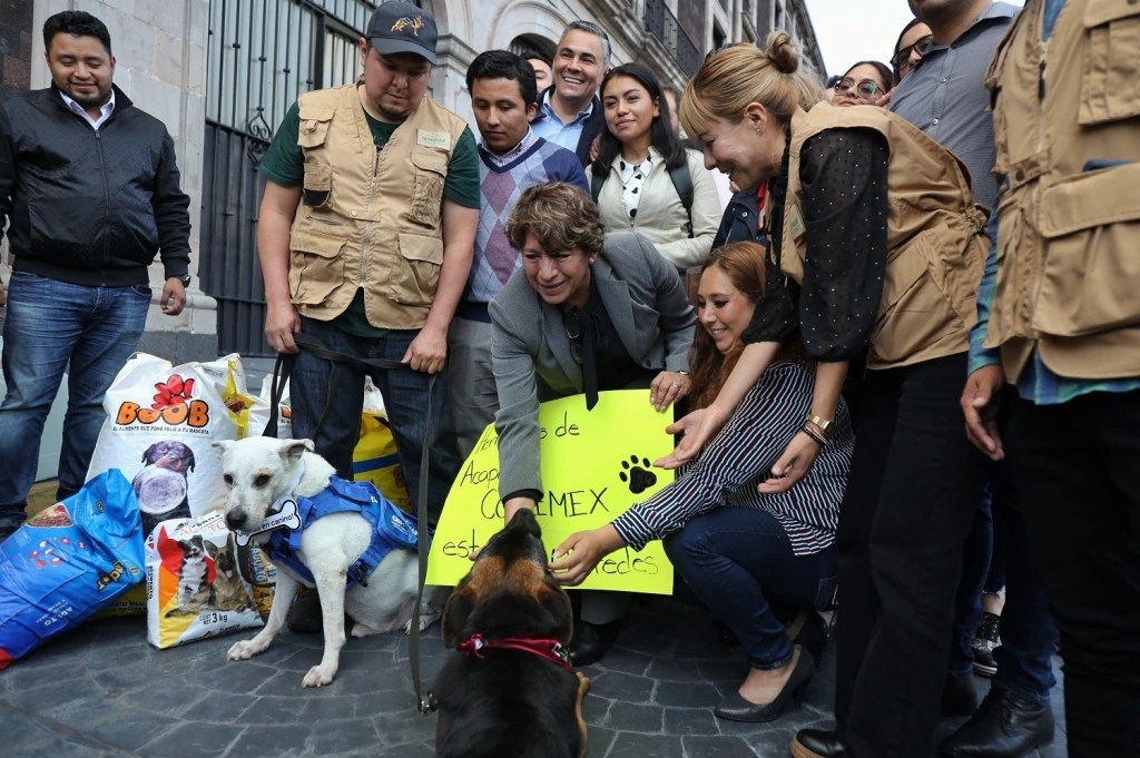 “Por los que no tienen voz”, Gobernadora Delfina Gómez enviará alimento para las mascotas afectadas por el  huracán Otis