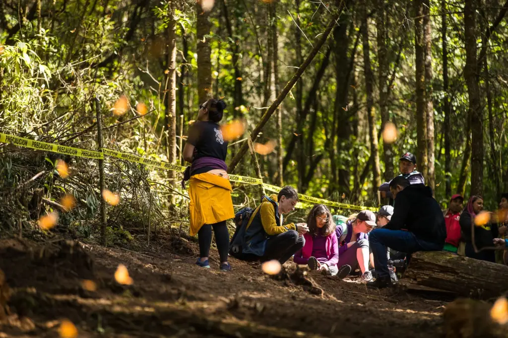 Prestadores de Servicios Recibirán Capacitación Turística previo a la apertura de los Santuarios de Mariposa  Monarca en Edoméx