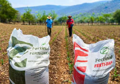 Antes del cierre de este año crecerá en un 3% la demanda de fertilizantes: FAO