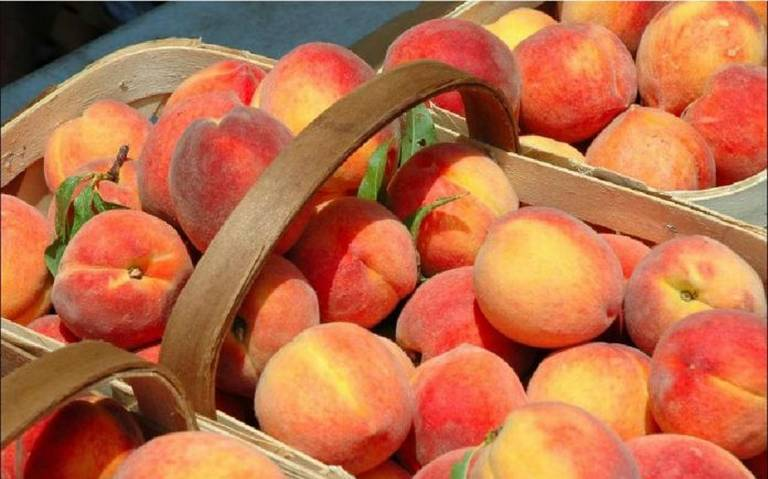 Cofepris advierte sobre frutos contaminados importados de EU